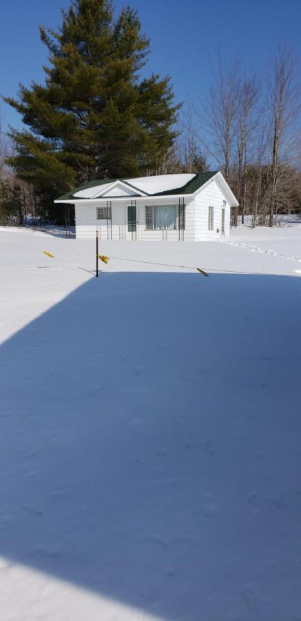 Chapel Hill Motel Brevort Zewnętrze zdjęcie